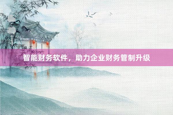 智能财务软件，助力企业财务管制升级