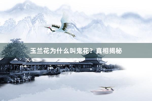 玉兰花为什么叫鬼花？真相揭秘
